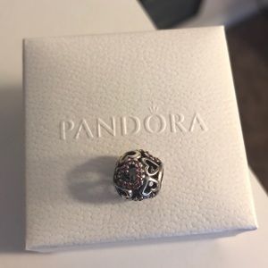 “Falling In Love” Pandora Charm